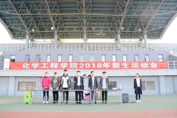 开幕式裁判员代表宣誓 魏薇摄影 开幕式裁判员代表宣誓 魏薇摄影